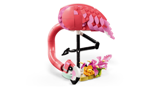 Wild Animals: Pink Flamingo — 3