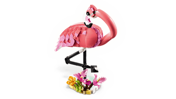 Wild Animals: Pink Flamingo — 4