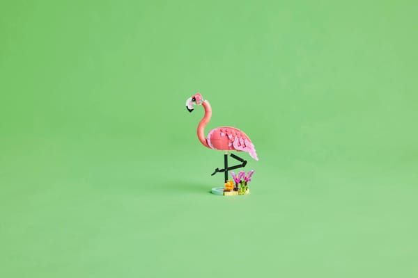 Wild Animals: Pink Flamingo — 9
