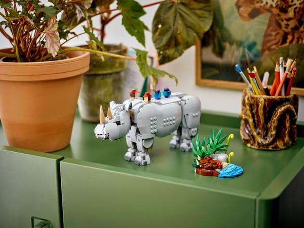 Wild Animals: Majestic Rhino with Birds — 10