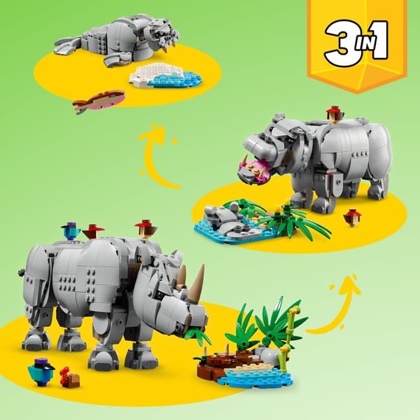 Wild Animals: Majestic Rhino with Birds — 3