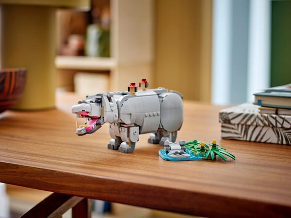 Wild Animals: Majestic Rhino with Birds — 9