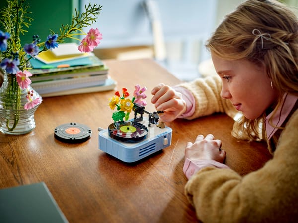 Record Player with Flowers — 6
