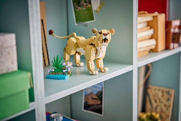 Wild Animals: Majestic Lion — 16