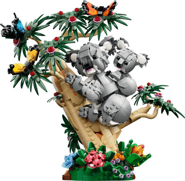 Wild Animals: Family of Koalas — 2