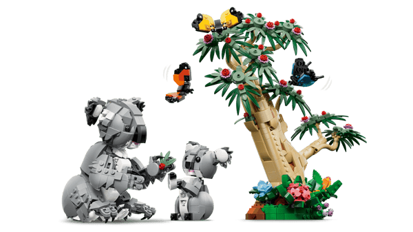 Wild Animals: Family of Koalas — 10