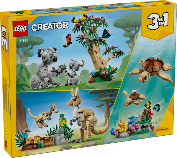 Wild Animals: Family of Koalas — 24