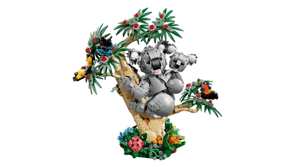 Wild Animals: Family of Koalas — 6