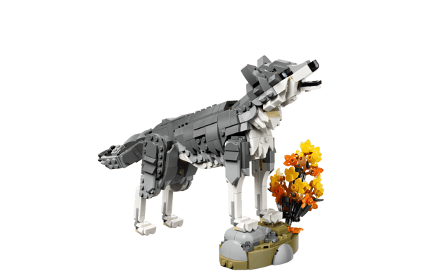 Forest Animals: Gray Wolf — 2