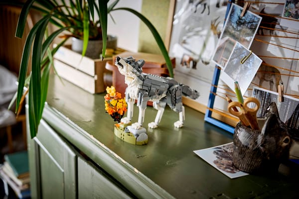 Forest Animals: Gray Wolf — 12