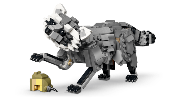 Forest Animals: Gray Wolf — 4