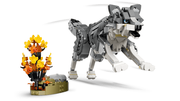 Forest Animals: Gray Wolf — 5