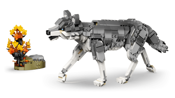 Forest Animals: Gray Wolf — 9