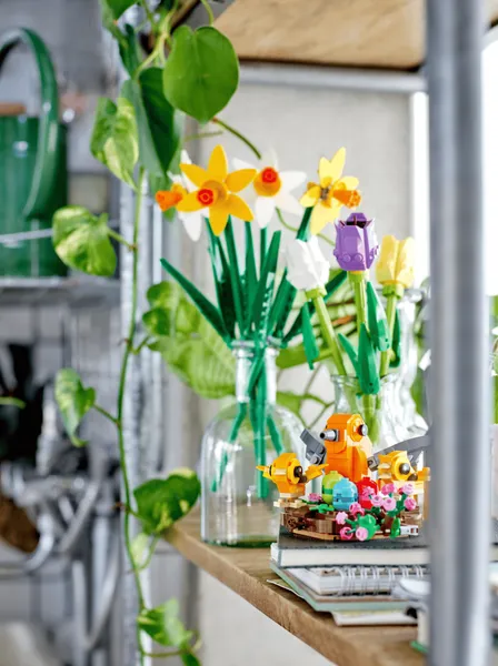 Bird's Nest — 6