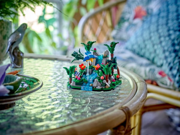 Tropical Rainforest Diorama — 3