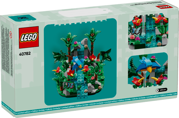 Tropical Rainforest Diorama — 4