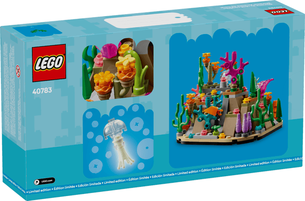 Coral Reef Diorama — 5