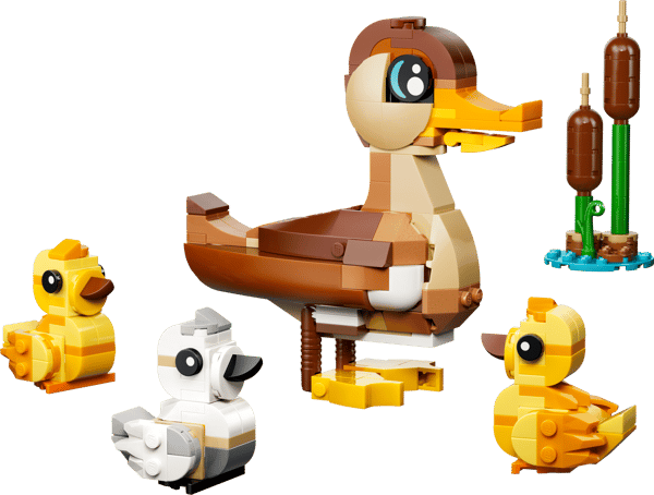 Duck Family — 2