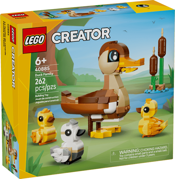 Duck Family — 1