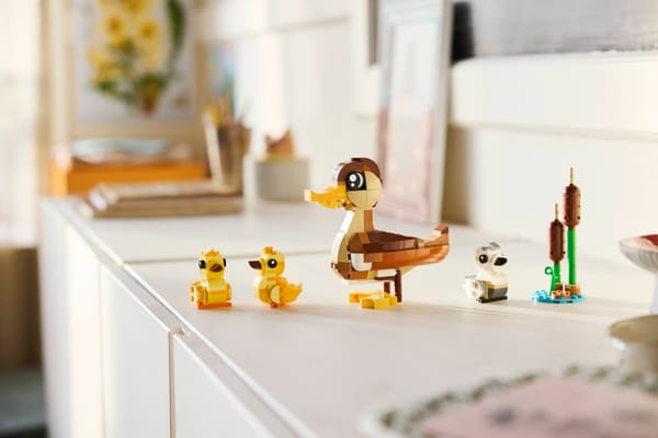 Duck Family — 3