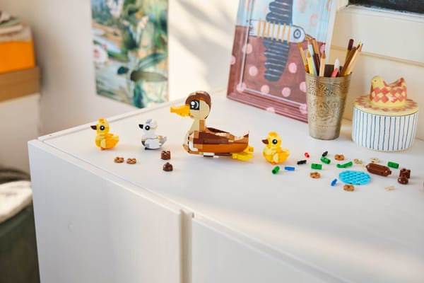 Duck Family — 4
