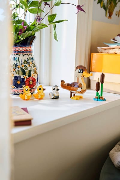 Duck Family — 5