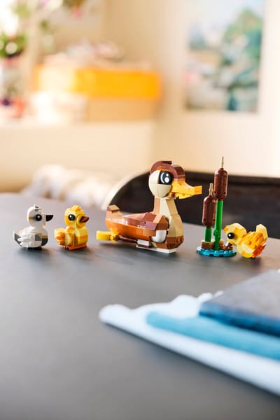 Duck Family — 6