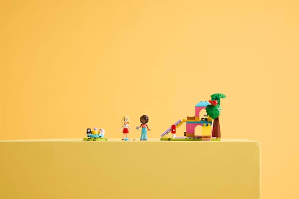 Guinea Pig Playground — 10