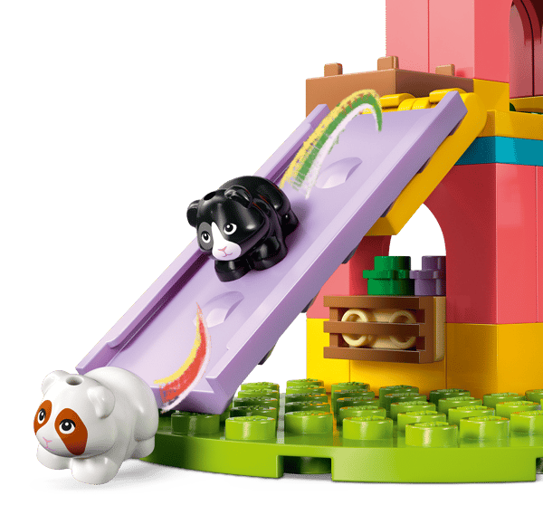 Guinea Pig Playground — 4
