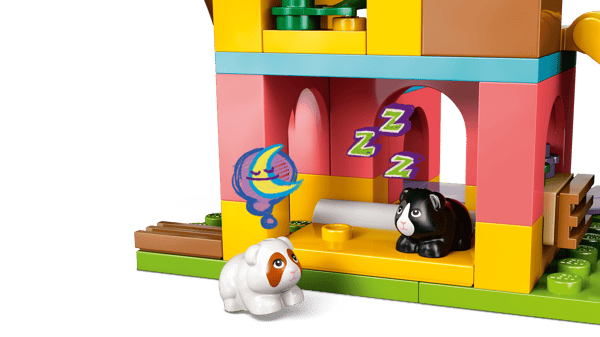 Guinea Pig Playground — 7