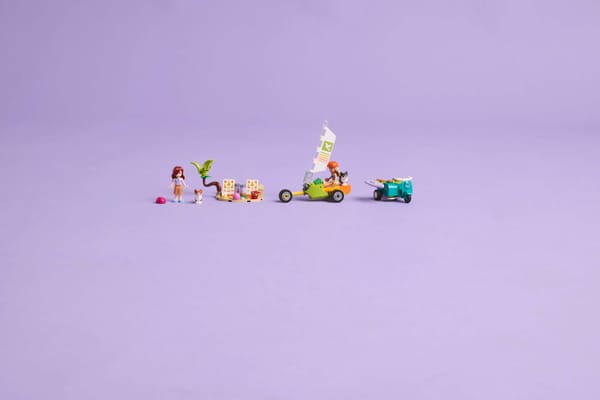 Surfing Dogs and Scooter Adventure — 9