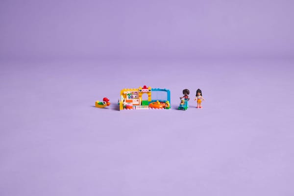 Aliya's Baby Sister's Playroom — 10