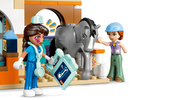 Horse and Pet Vet Clinic — 7