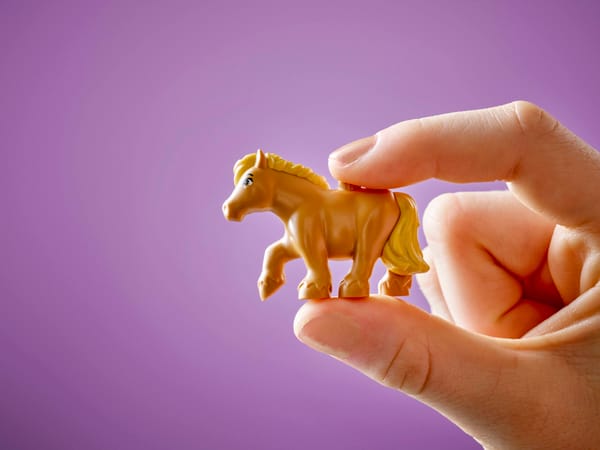 Pony Ranch & Stable — 10