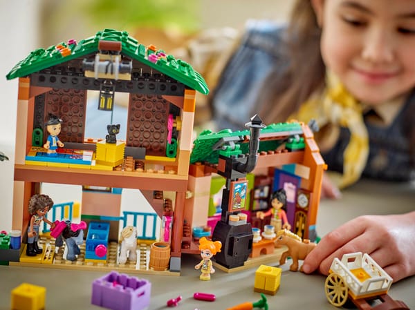 Pony Ranch & Stable — 8