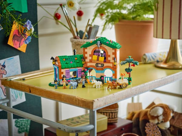 Pony Ranch & Stable — 9