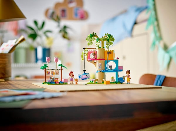 Cat Birthday Party & Tree House — 7