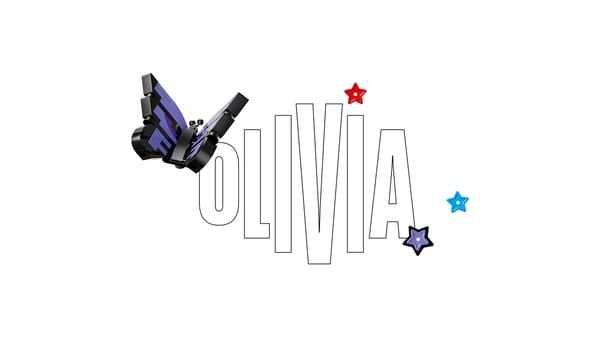 Olivia Rodrigo’s Secret Storage — 6