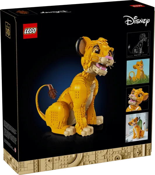 Young Simba the Lion King — 5