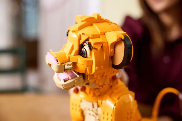 Young Simba the Lion King — 7