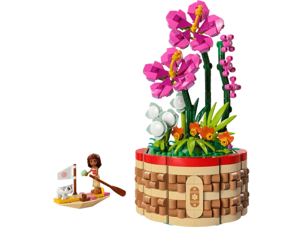 Moana's Flowerpot — 2