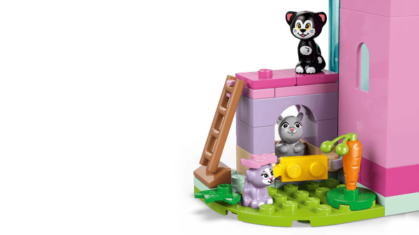 Minnie's Pet Hotel — 5