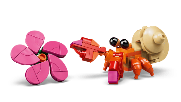 Pua — 4