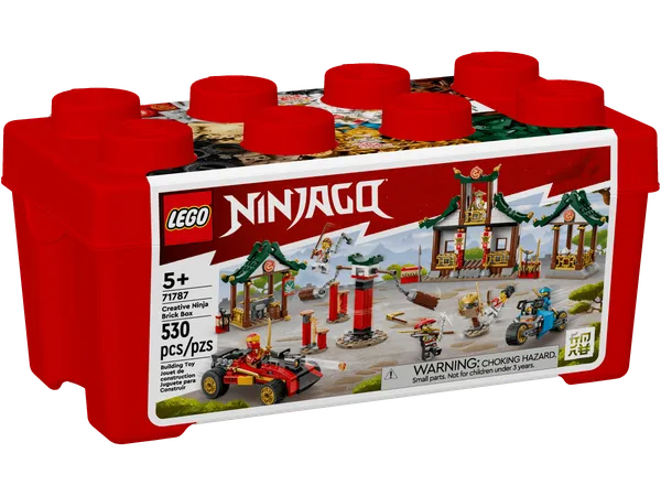 Creative Ninja Brick Box — 1