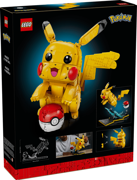 Pikachu and Poké Ball — 18