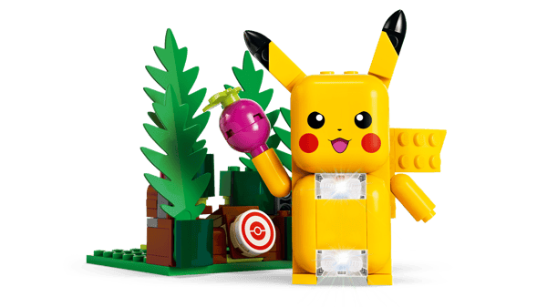 Training House with Pikachu — 6