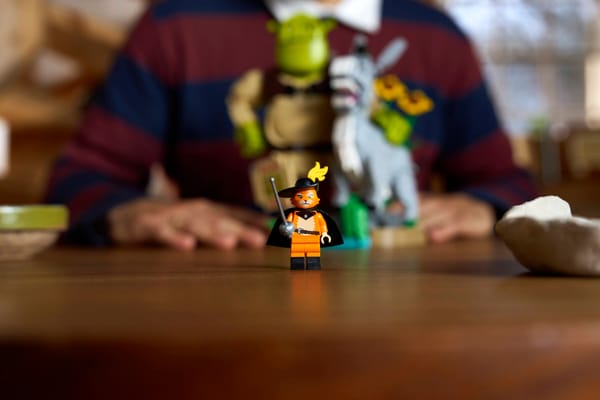 Shrek, Donkey & Puss in Boots — 12