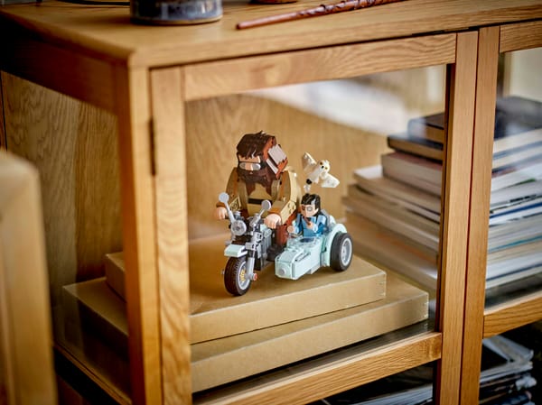Hagrid & Harry's Motorcycle Ride — 8