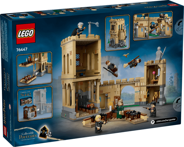 Hogwarts Castle: Flying Lessons — 11
