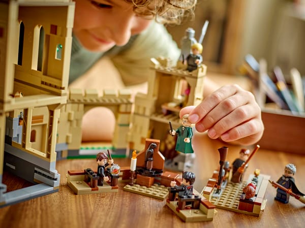 Hogwarts Castle: Flying Lessons — 9